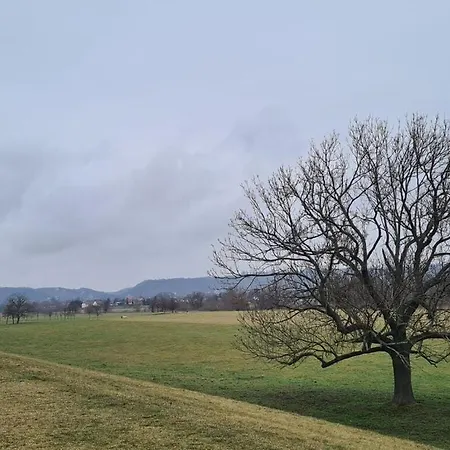 Apartament Elliebe Drezno